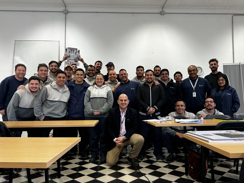 Curso BOEING 737NG
