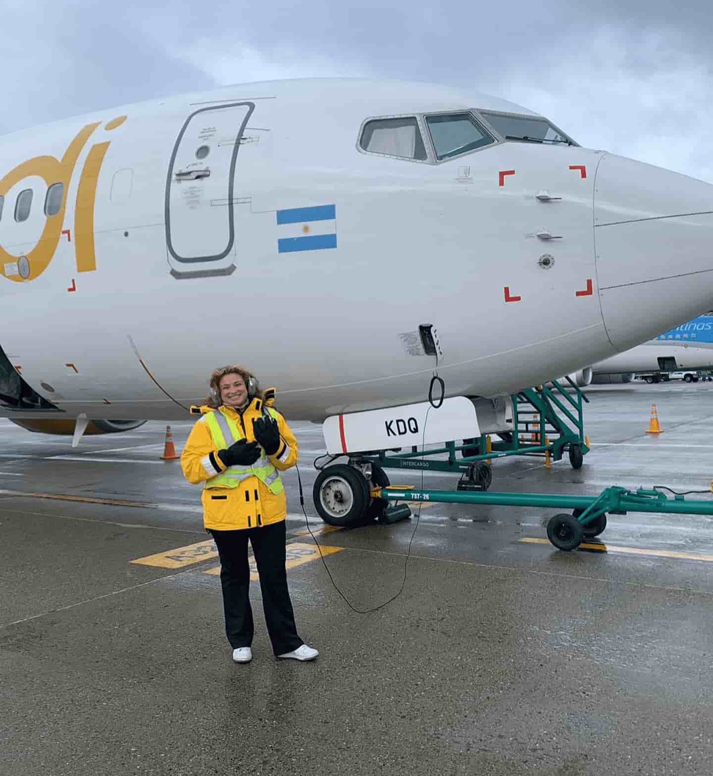 Curso BOEING 737NG Ground Operations